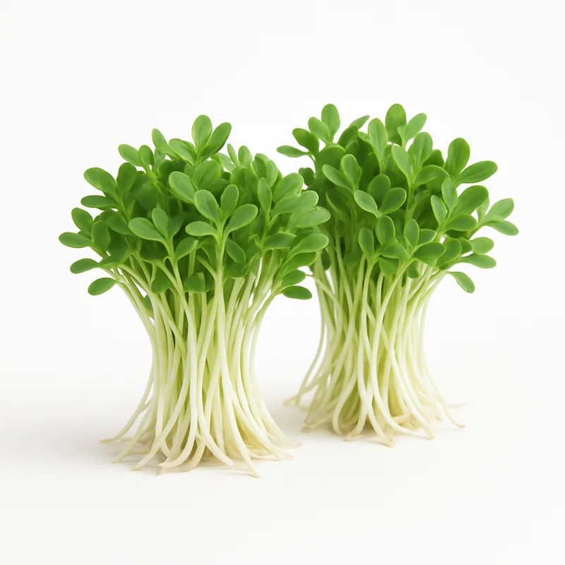 Alfalfa Seed — image 2 of 3