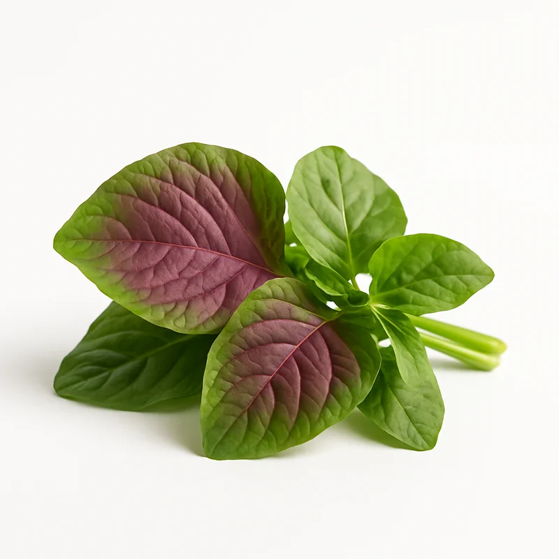 Amaranth Leave — image 2 of 3