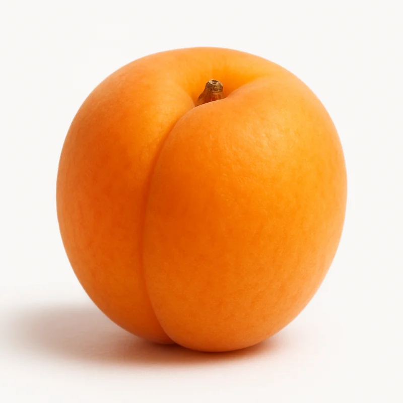 Apricot — image 3 of 3