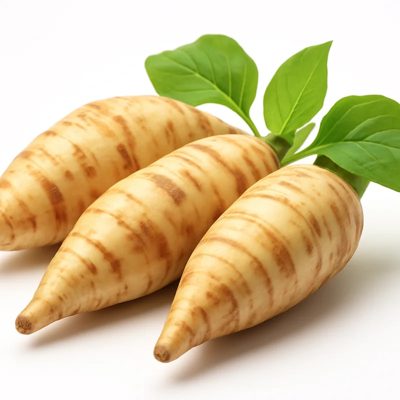 Arrowroot — image 2 of 3