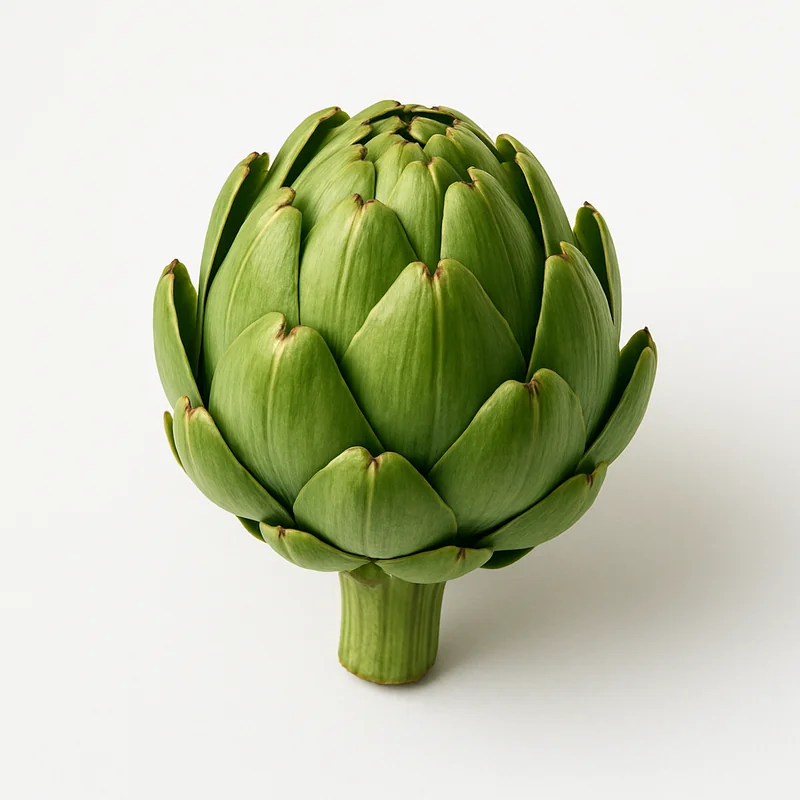 Artichoke — image 1 of 3