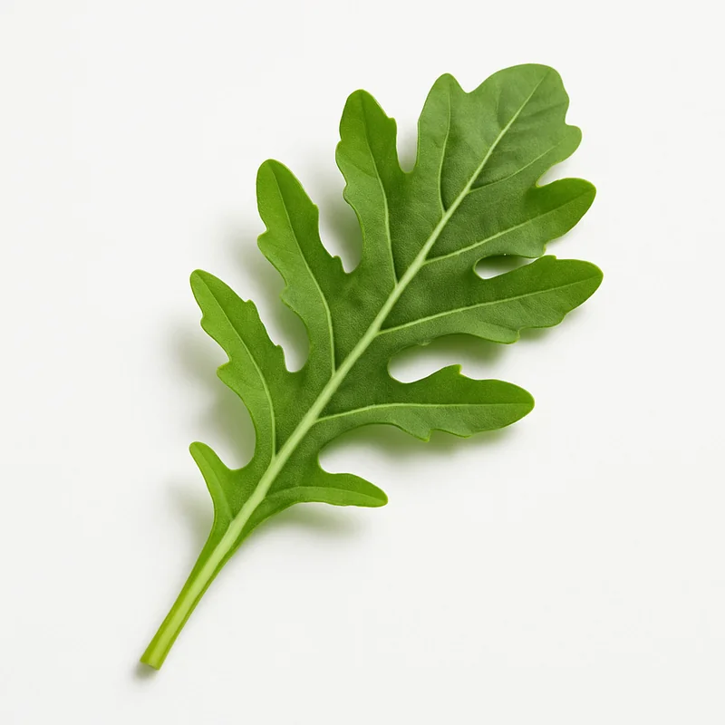 Arugula — image 1 of 3
