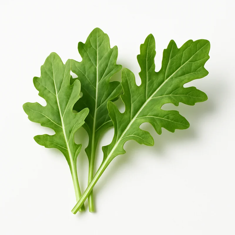 Arugula — image 2 of 3