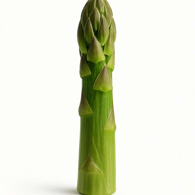 Asparagus — image 3 of 3