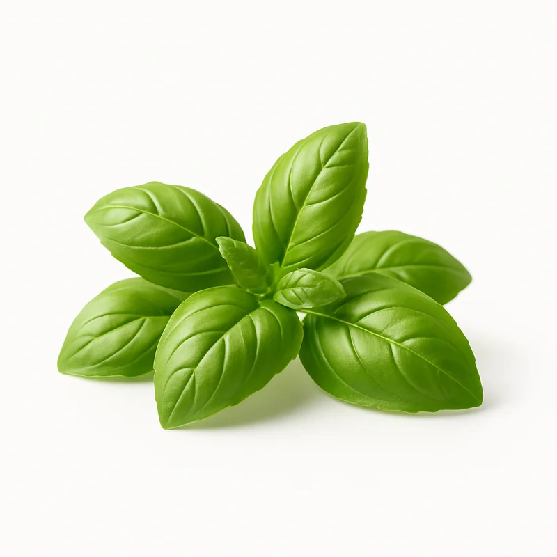 Basil — image 2 of 3