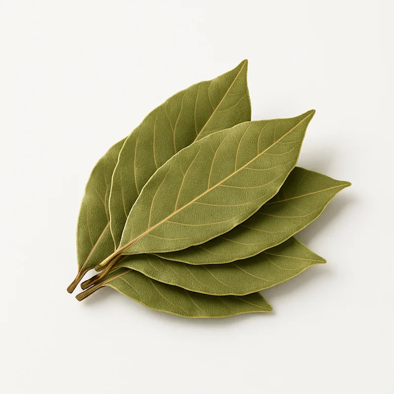 Bay Leaf (Dried) — image 1 of 3