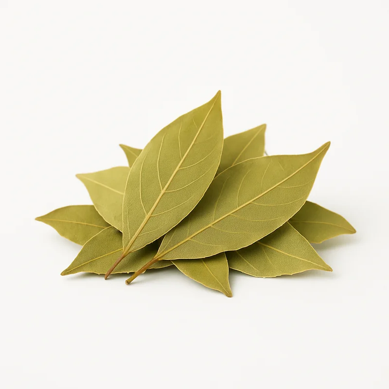 Bay Leaf (Dried) — image 2 of 3