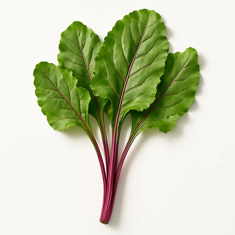 Beet Green — image 1 of 3