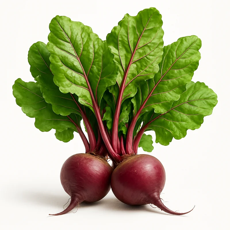Beet Green — image 2 of 3