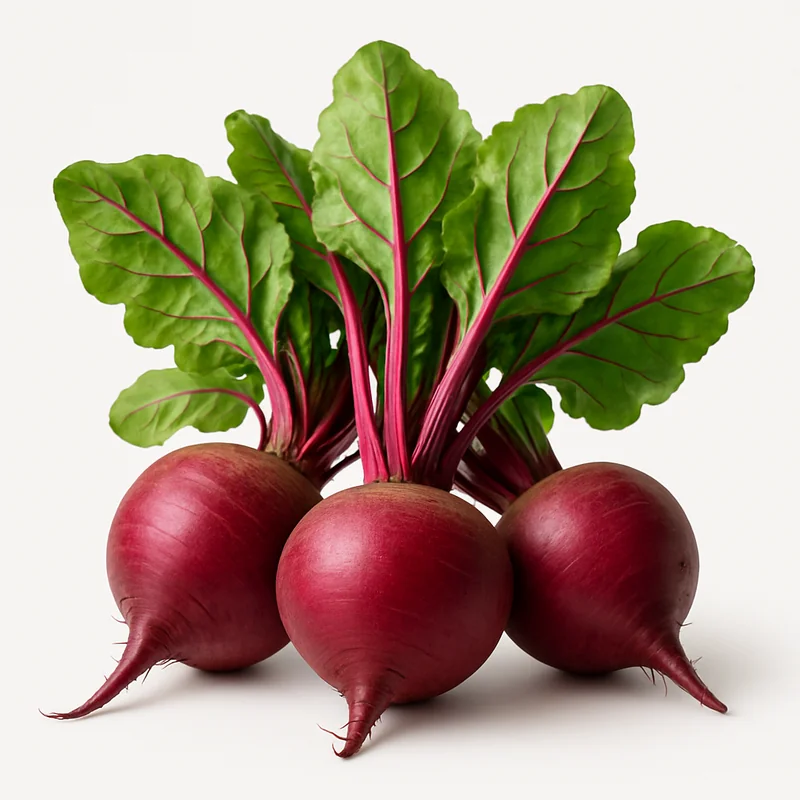 Beet — image 2 of 3