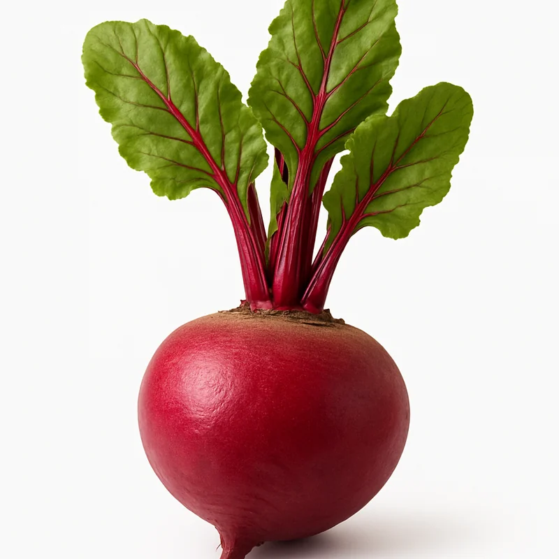 Beet — image 3 of 3