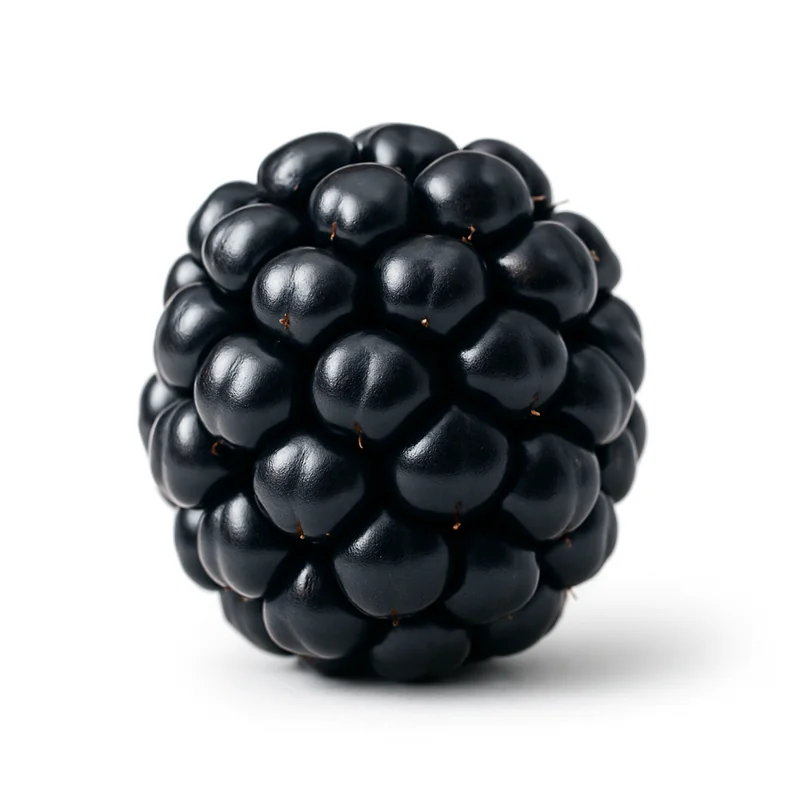 Blackberries — image 3 of 3