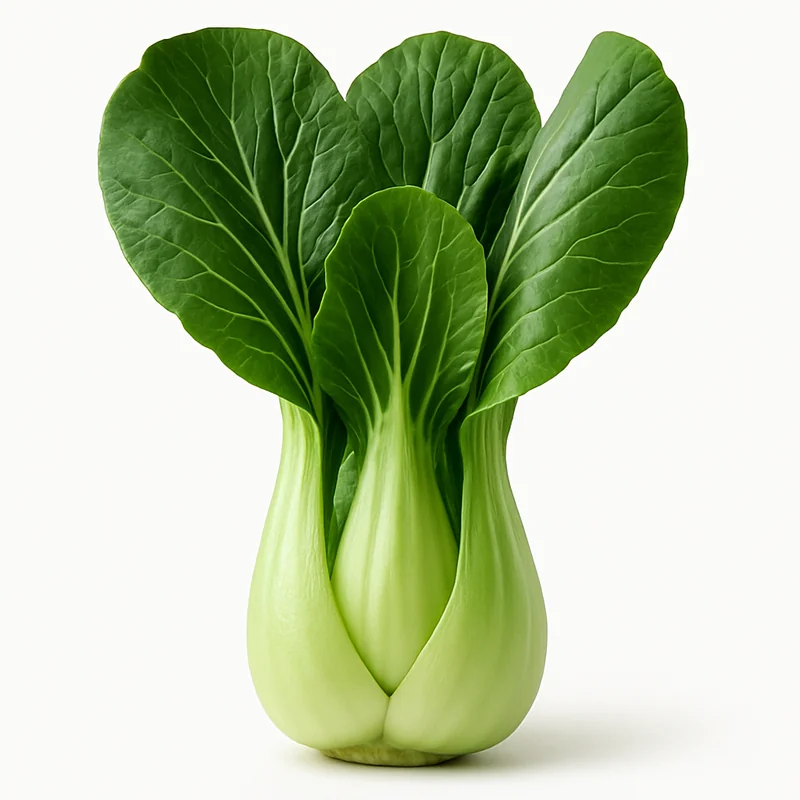 Bok Choy — image 3 of 3