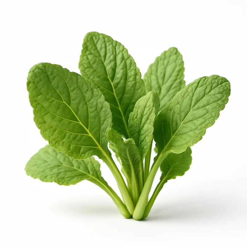 Borage — image 2 of 3