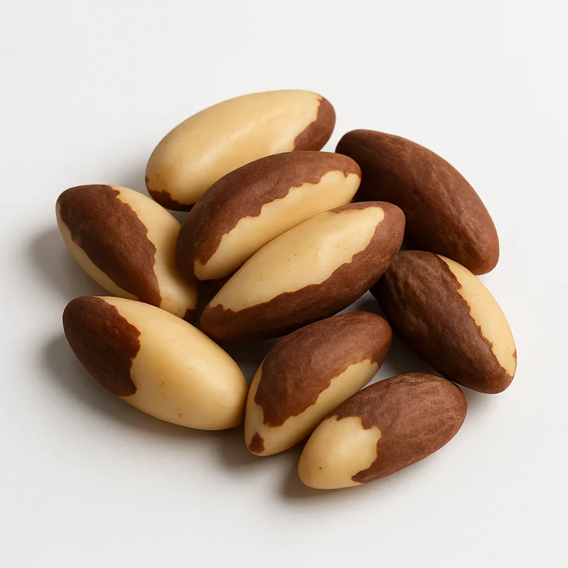 Brazil Nut — image 1 of 3
