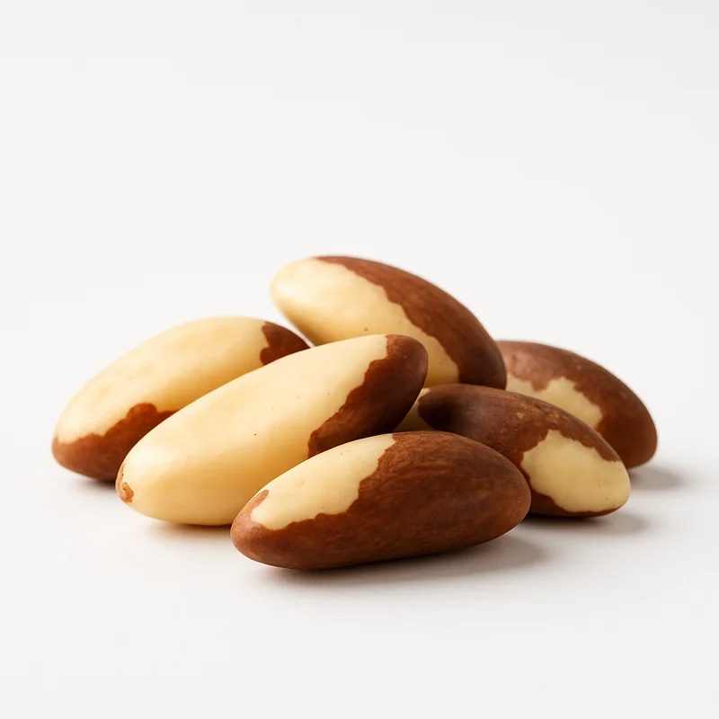 Brazil Nut — image 2 of 3