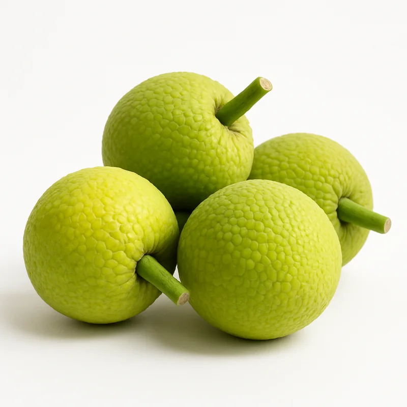 Breadfruit — image 2 of 3