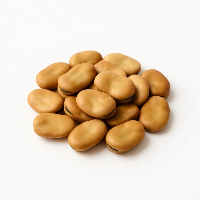 Broadbeans (Fava Beans)