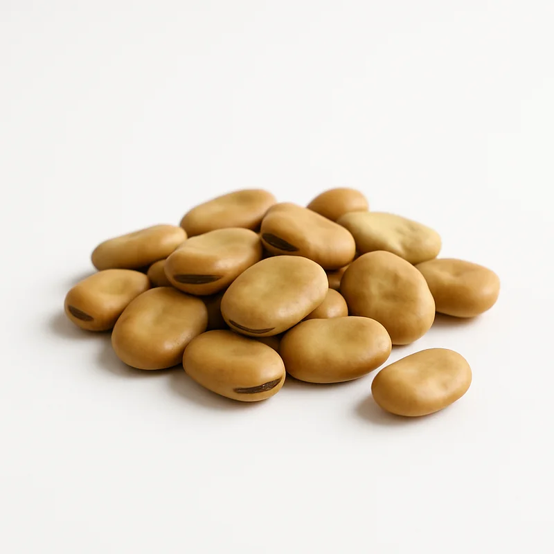 Broadbeans (Fava Beans) — image 2 of 3