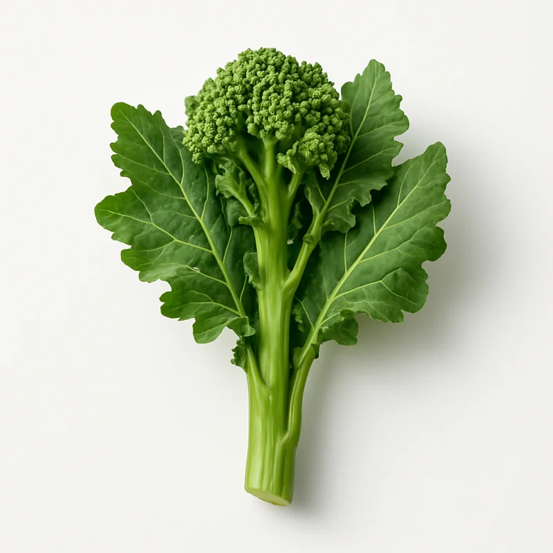 Broccoli Raab — image 1 of 3