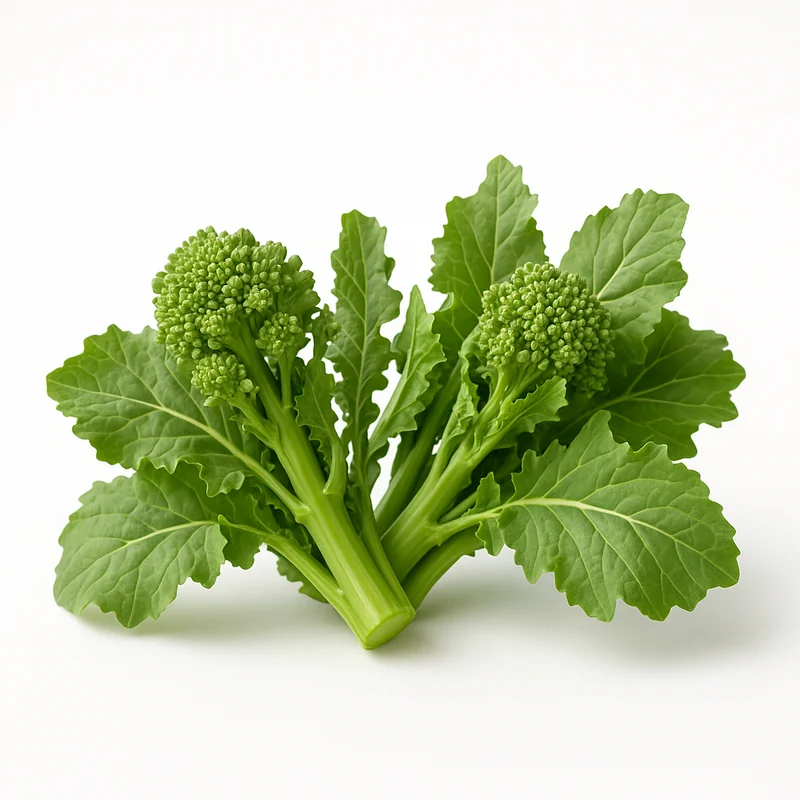 Broccoli Raab — image 2 of 3