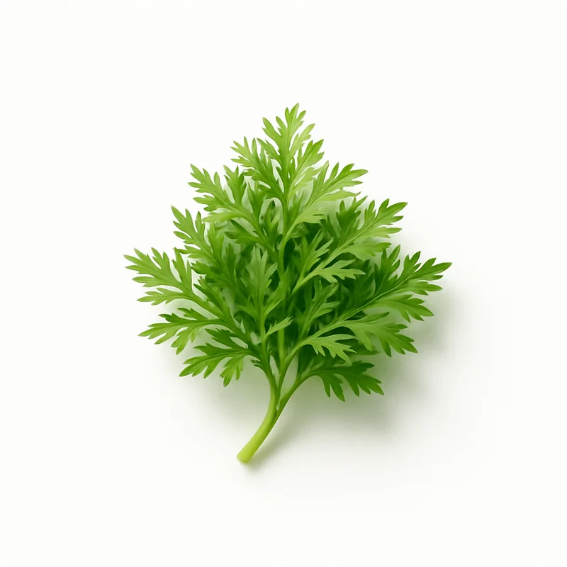 Caraway Seed — image 1 of 3