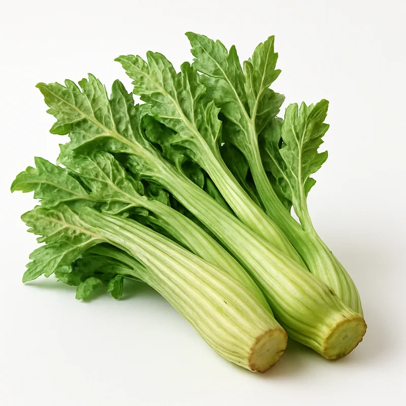 Cardoon — image 2 of 3