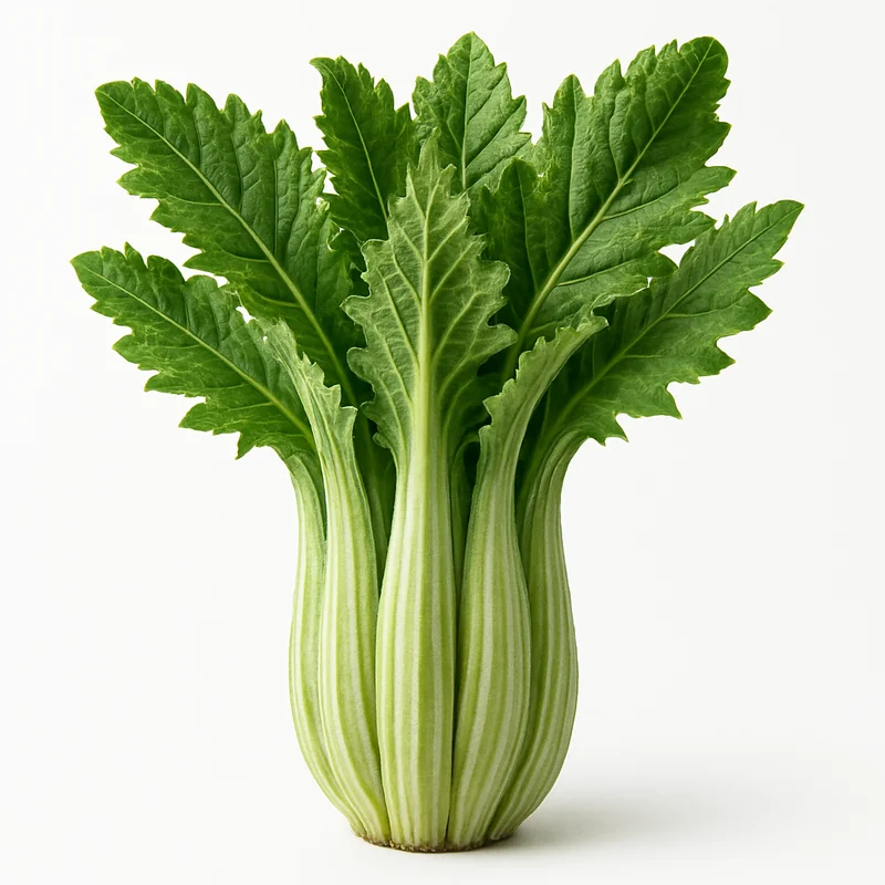 Cardoon — image 3 of 3