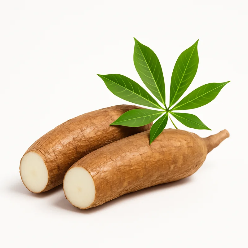 Cassava — image 2 of 3