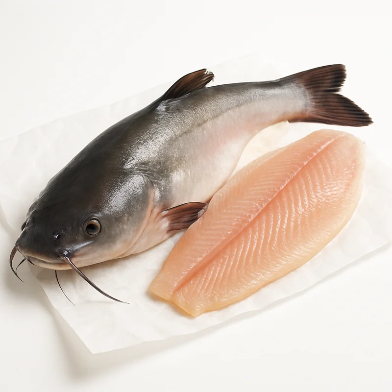 Catfish — image 3 of 3