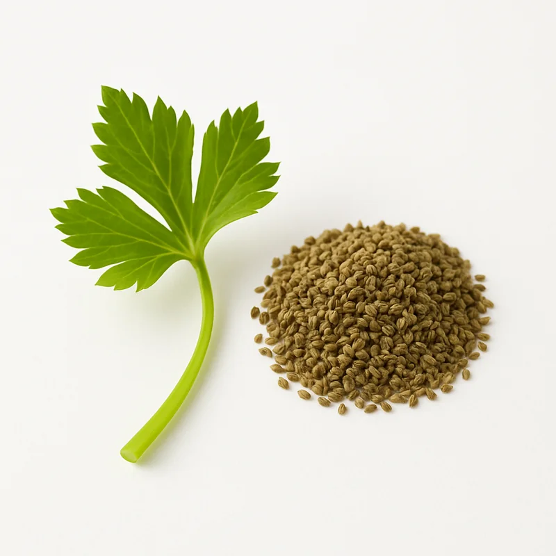 Celery Seed — image 1 of 3