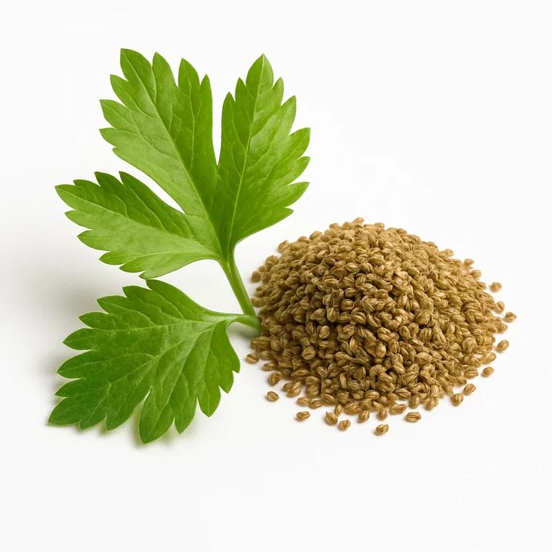 Celery Seed — image 3 of 3