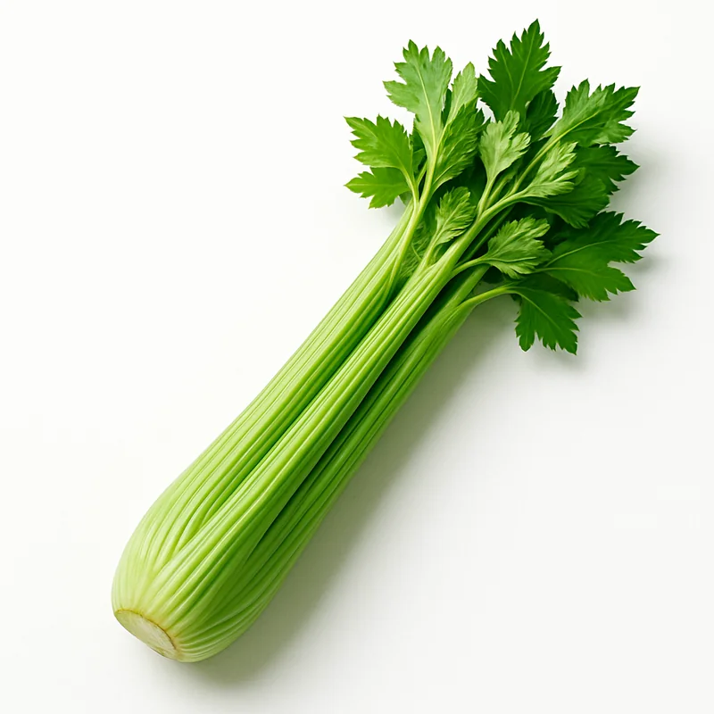 Celery — image 1 of 3