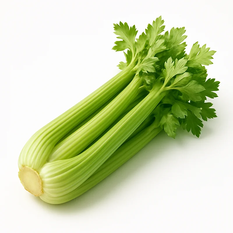 Celery — image 2 of 3