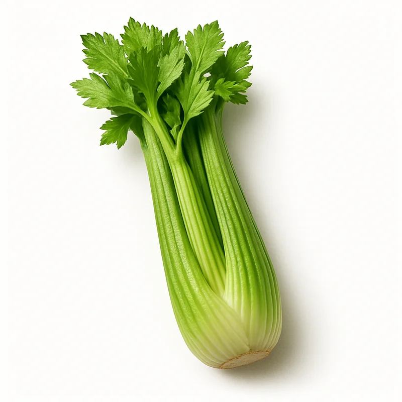 Celery — image 3 of 3