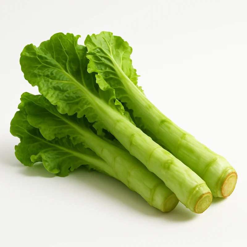 Celtuce — image 2 of 3