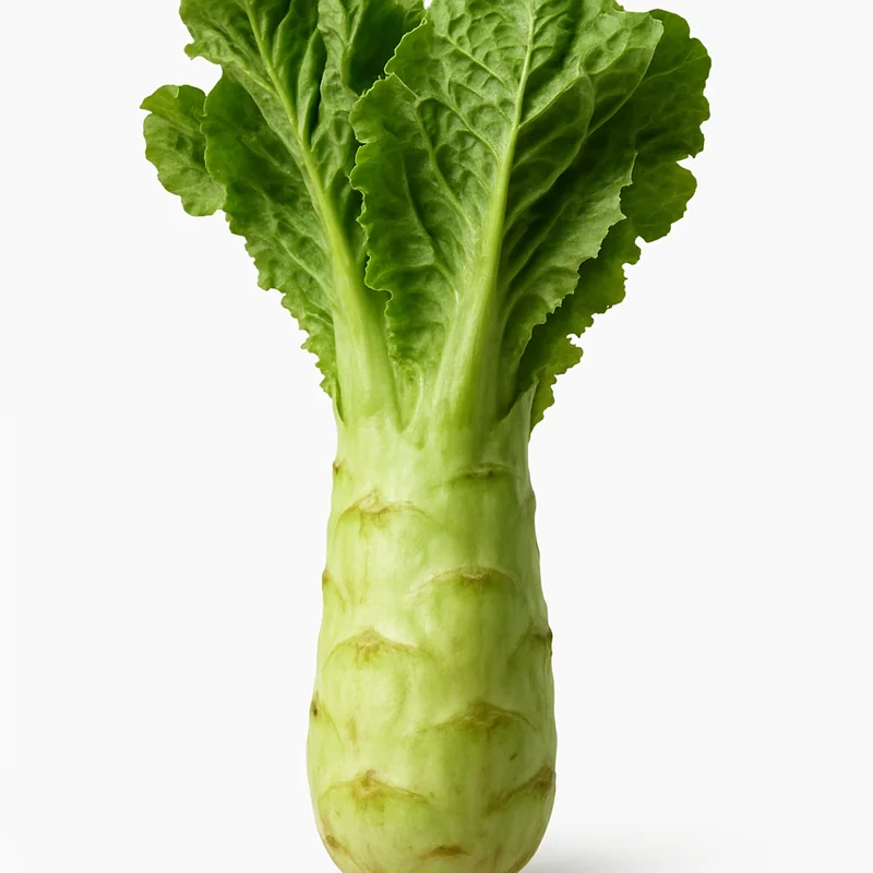Celtuce — image 3 of 3