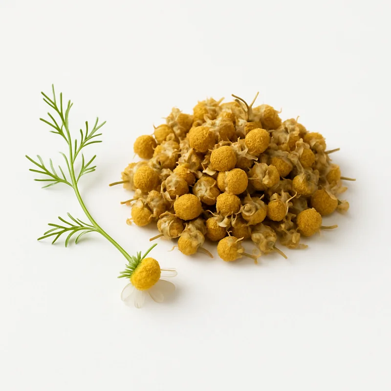 Chamomile (Dried) — image 1 of 3