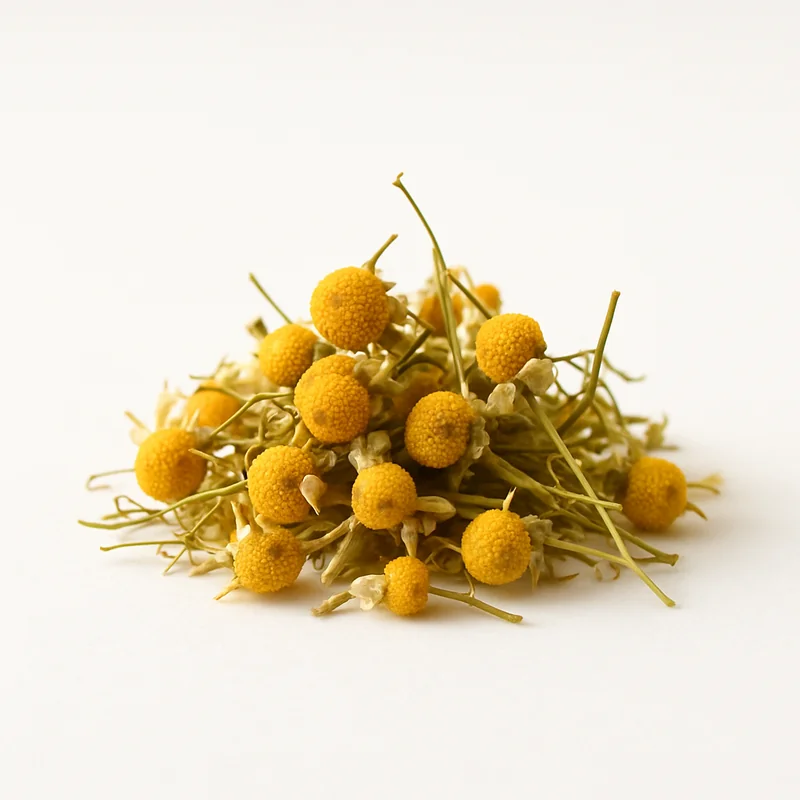 Chamomile (Dried) — image 2 of 3