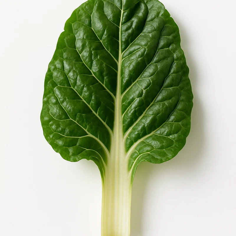 Chard — image 3 of 3