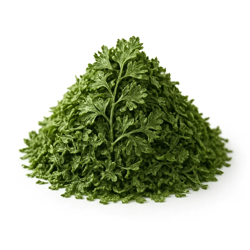 Chervil (Dried) — image 3 of 3