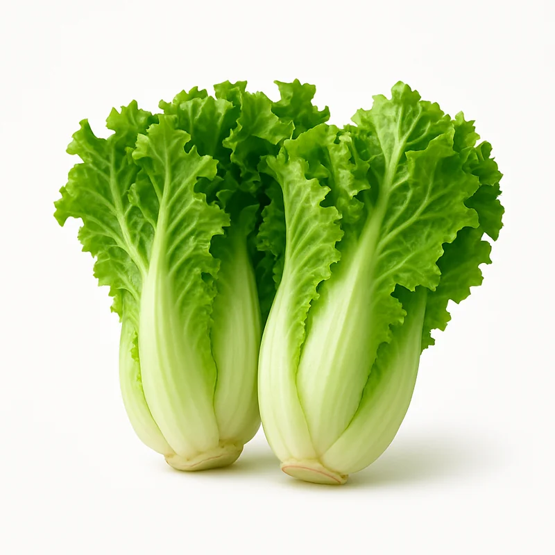 Chicory Green — image 2 of 3