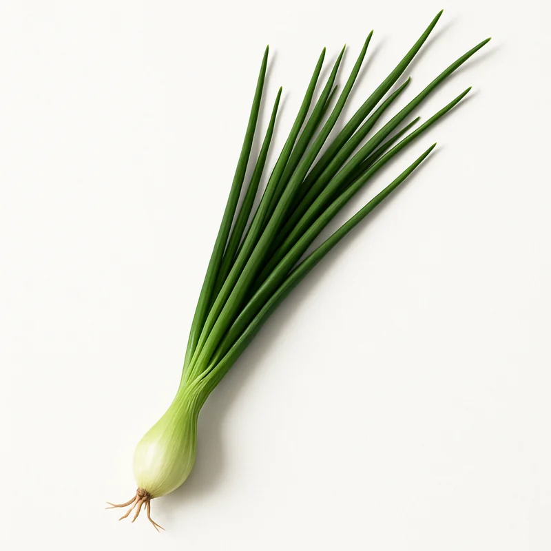 Chive — image 1 of 3