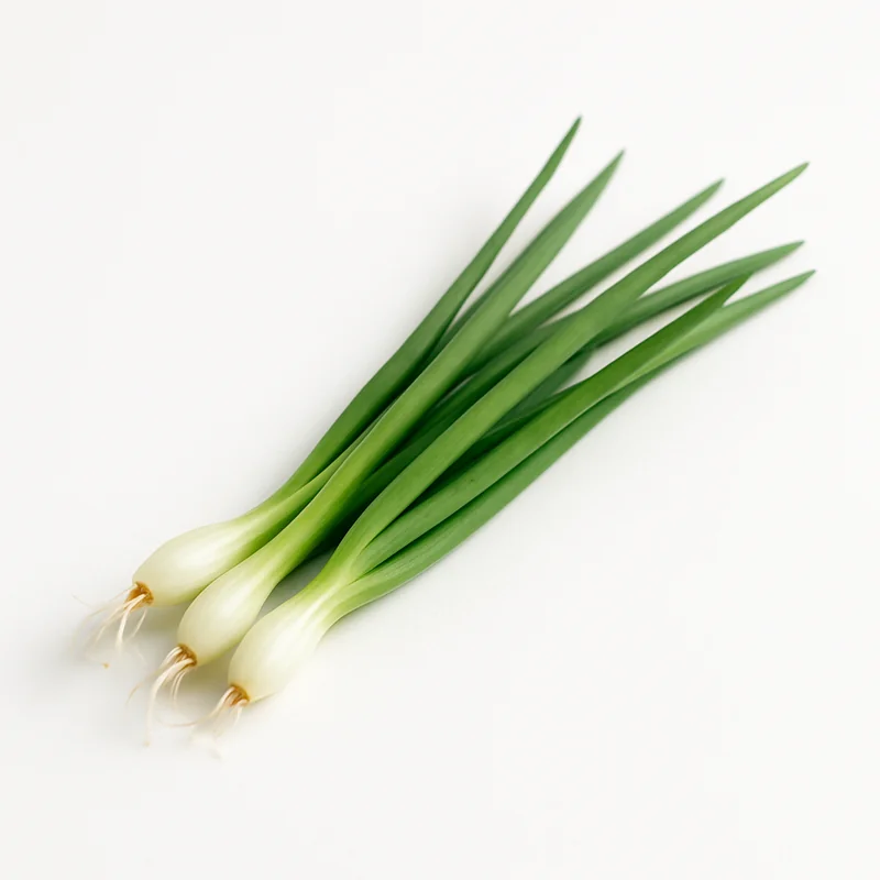 Chive — image 2 of 3