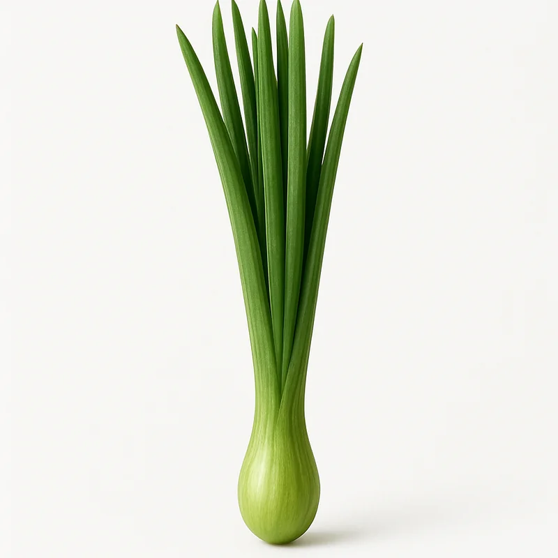 Chive — image 3 of 3