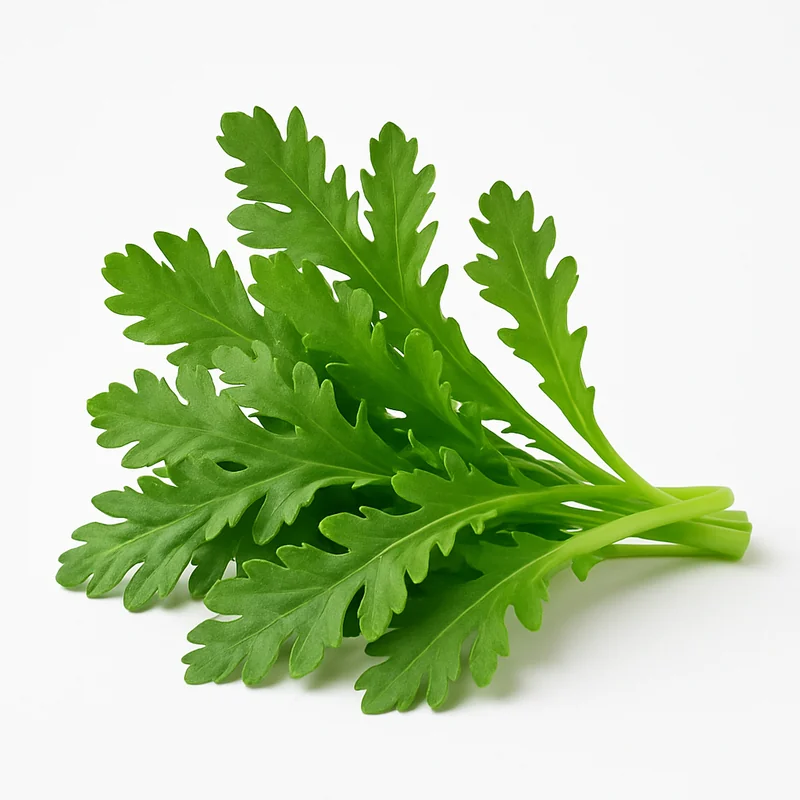Chrysanthemum Leave — image 2 of 2