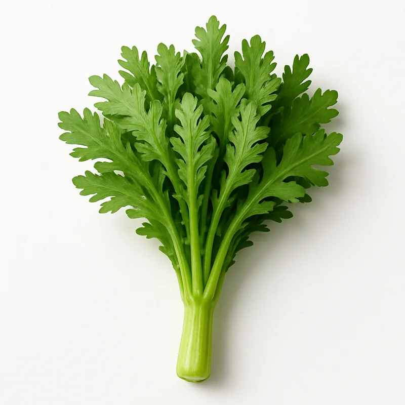 Chrysanthemum — image 1 of 3