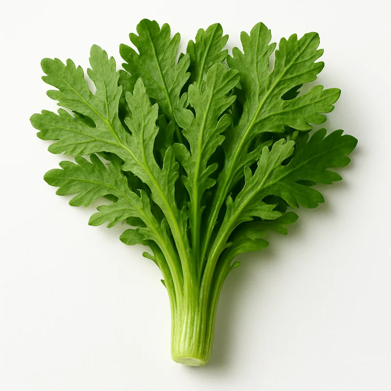 Chrysanthemum — image 3 of 3