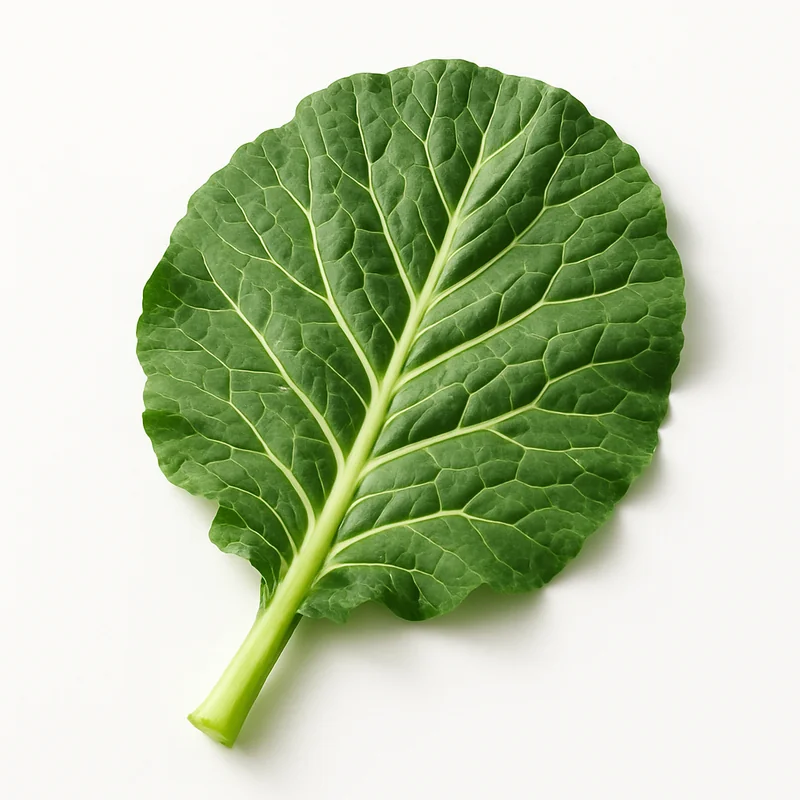 Collard
