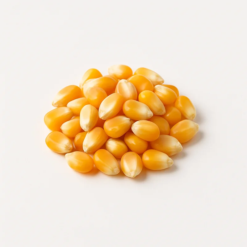 Corn Grain — image 1 of 1